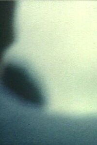 feeling of night (2007)