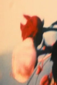 Fisherman (1998)