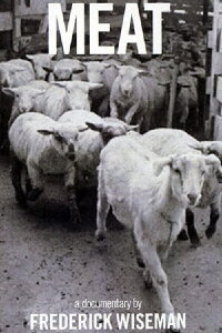 Fleisch (1976)