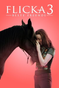 Flicka 3 - Beste Freunde (2012)