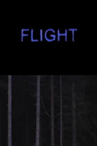 Flight (1996)