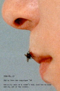 Fly (1970)