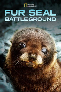 Fur Seals (2015)