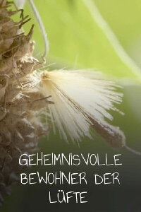 Geheimnisvolle Bewohner der Lüfte (2022)