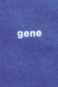 Gene (1977)