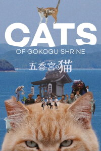 Gokogu no Neko (2024)