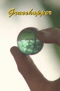 Grasshopper (2012)