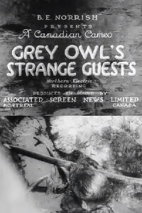 Grey Owl's Strange Guests (1934)