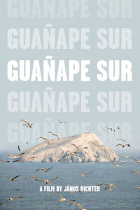 Guañape sur (2011)