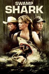 Hai Attack (2011)
