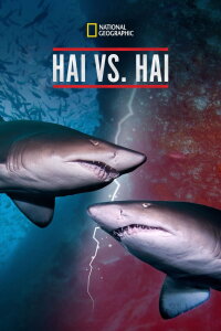 Hai vs Hai (2019)