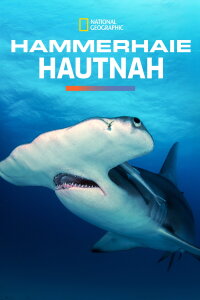 Hammerhaie Hautnah (2016)