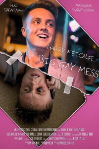 Harry Metcalfe: Big Gay Mess (2019)