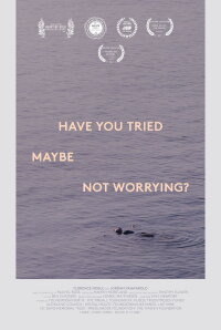 Have You Tried, Maybe, Not Worrying? (2017)
