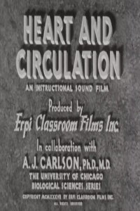 Heart and Circulation (1937)