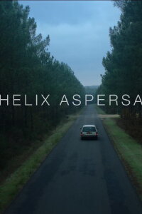 Helix Aspersa (2014)