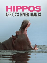 HIPPOS - Afrikas fazinierende Riesen (2019)