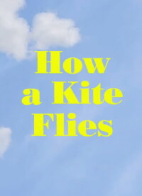 How a Kite Flies (2017)