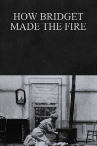 How Bridget Made the Fire (1900)