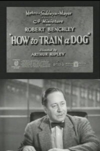 How to Train a Dog (1936)