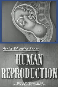 Human Reproduction (1947)