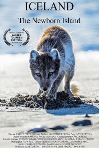 Iceland, the newborn island (2018)