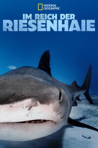 Im Reich der Riesenhaie (2018)