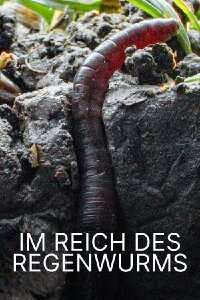 Im Reich des Regenwurms (2023)