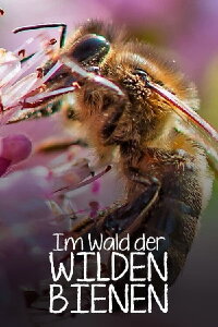 Im Wald der wilden Bienen (2022)