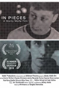 In Pieces (2019)