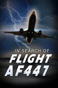 In Search for Flight AF447 (2019)