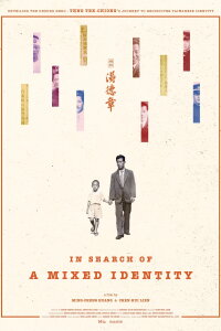 In Search of a Mixed Identity (2024)