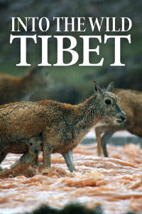 Into the Wild Tibet (2020)