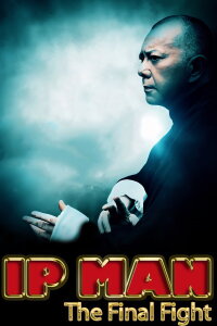Ip Man: The Final Fight (2013)