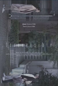 Irreversible (2016)