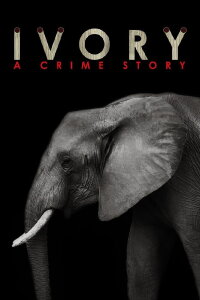 Ivory.  A Crime Story (2016)