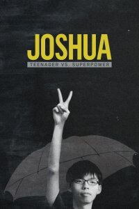 Joshua: Teenager gegen Supermacht (2017)