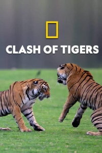 Kampf der Tiger (2018)