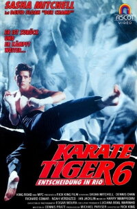 Karate Tiger 6 - Entscheidung in Rio (1992)