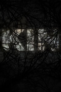 KIN (2022)