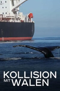 Kollision mit Walen - Der tödliche Schiffsverkehr (2023)