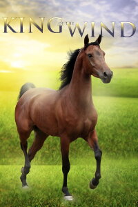 König der Winde (1990)