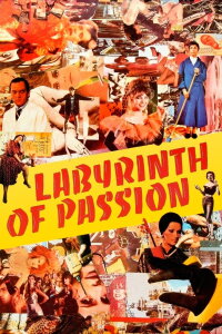 Labyrinth der Leidenschaften (1982)