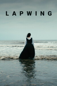 Lapwing (2021)