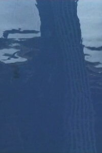 Le Cri (2001)