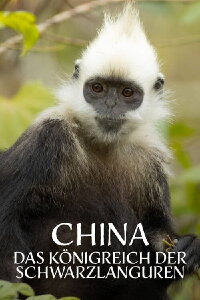 Le royaume secret des singes (2021)