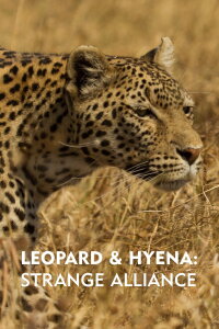 Leopard und Hyäne: Ein tödlicher Pakt (2021)