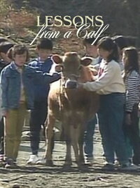 Lessons  from a Calf (1991)