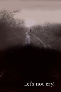 Let's Not Cry (2007)
