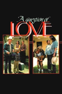 Liebe vor Gericht (1978)
